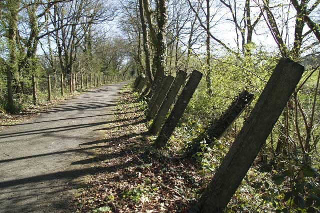 Tank Traps near Chaffcombe