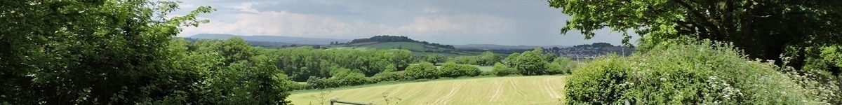 Welcome to Chaffcombe Village